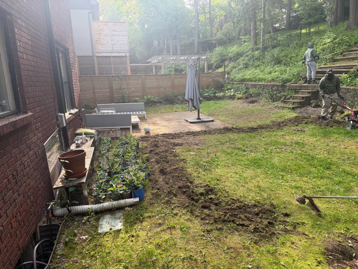 Backyard before — bare, torn-up yard
