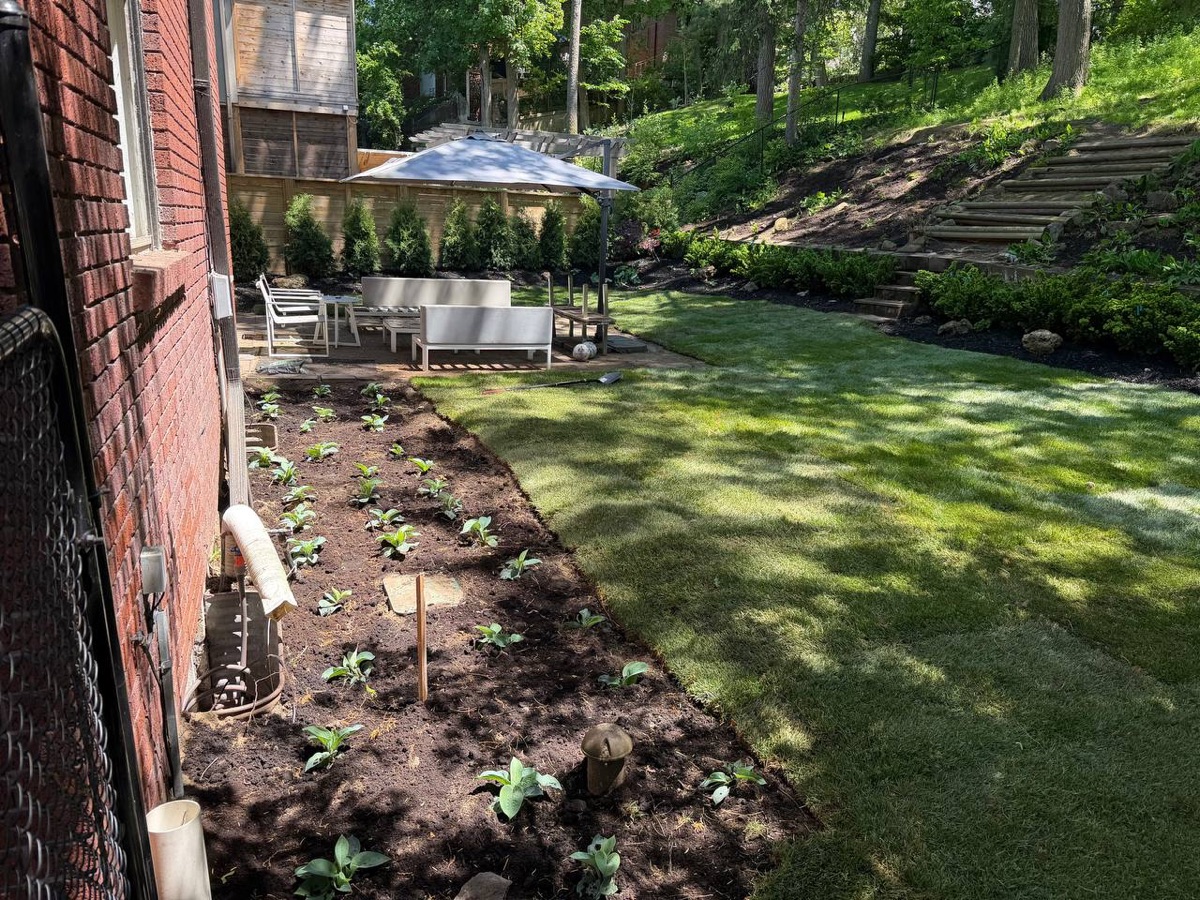 Backyard patio and lawn with planted beds