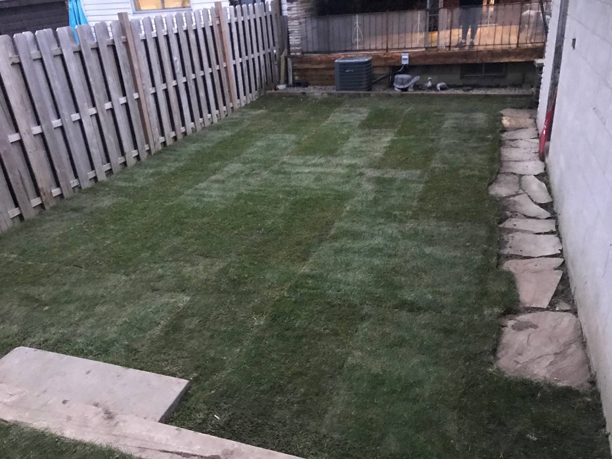 Backyard with fresh sod and stone border