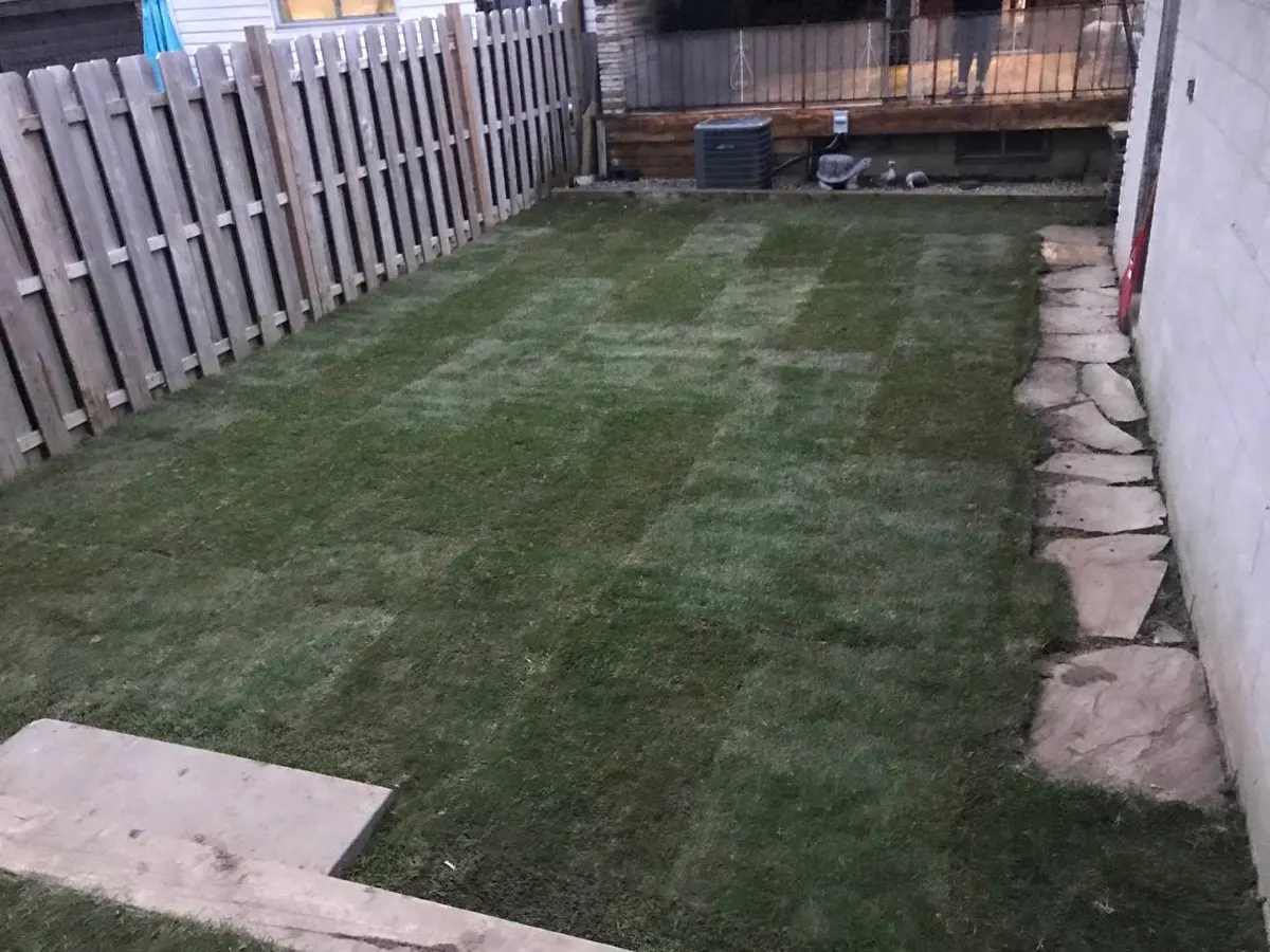Backyard with fresh sod and stone border