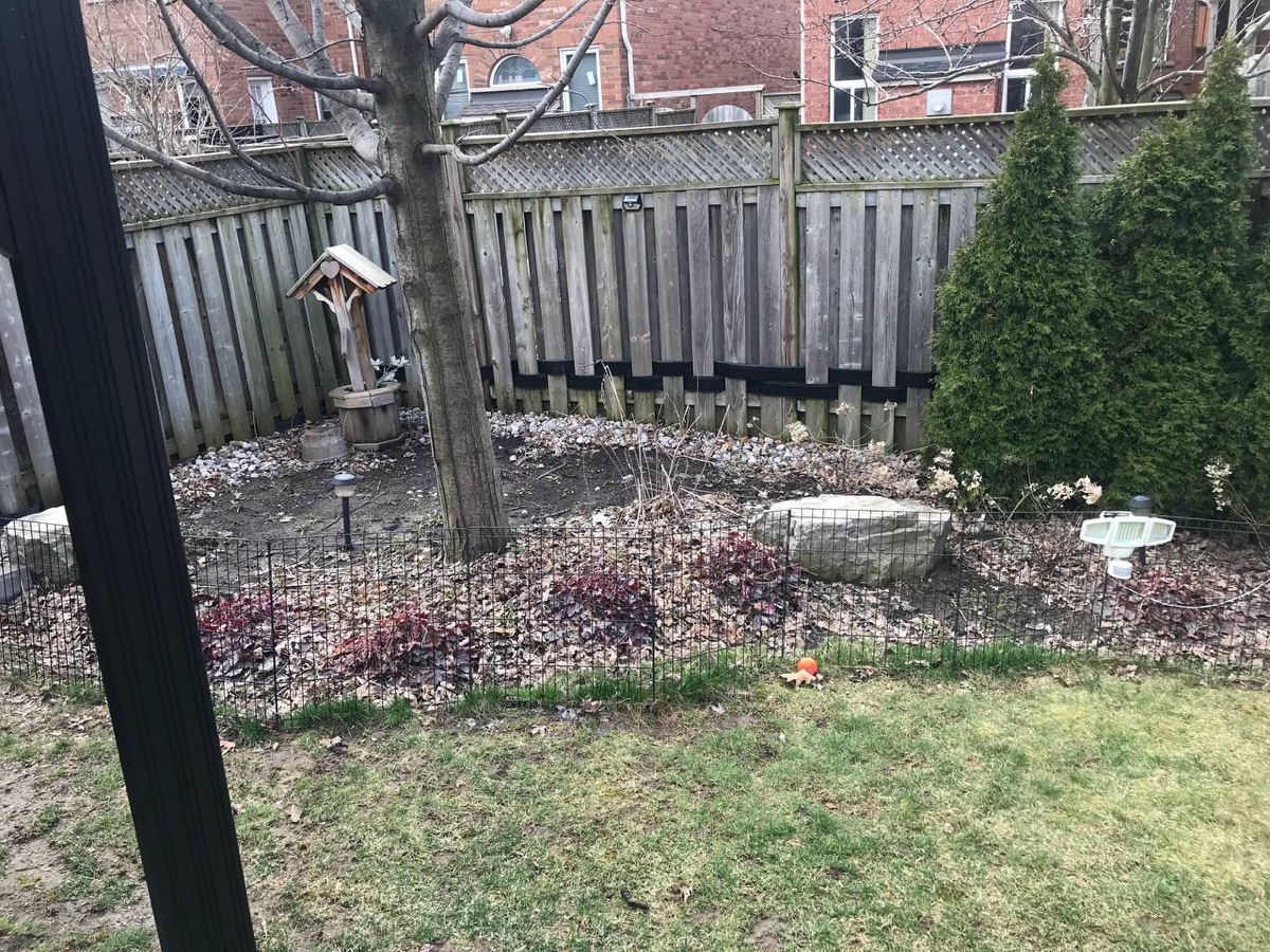 Garden before — overgrown leaf-covered bed